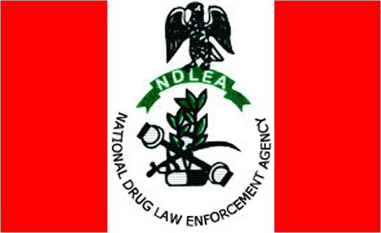 image_750x_65febdcb68cd8 NDLEA arrests medical doctor, Ivorian over cocaine trafficking
